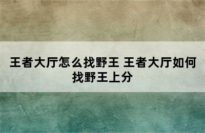 王者大厅怎么找野王 王者大厅如何找野王上分